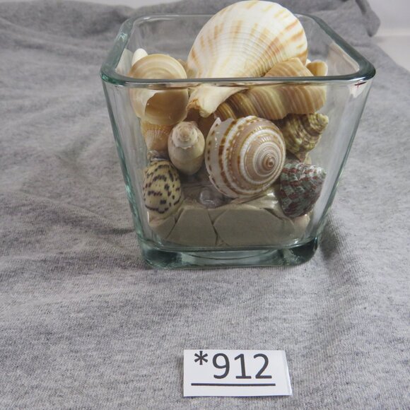 REAL Sea Shells in a Glass Square Vase and sand #7 - Picture 3 of 10